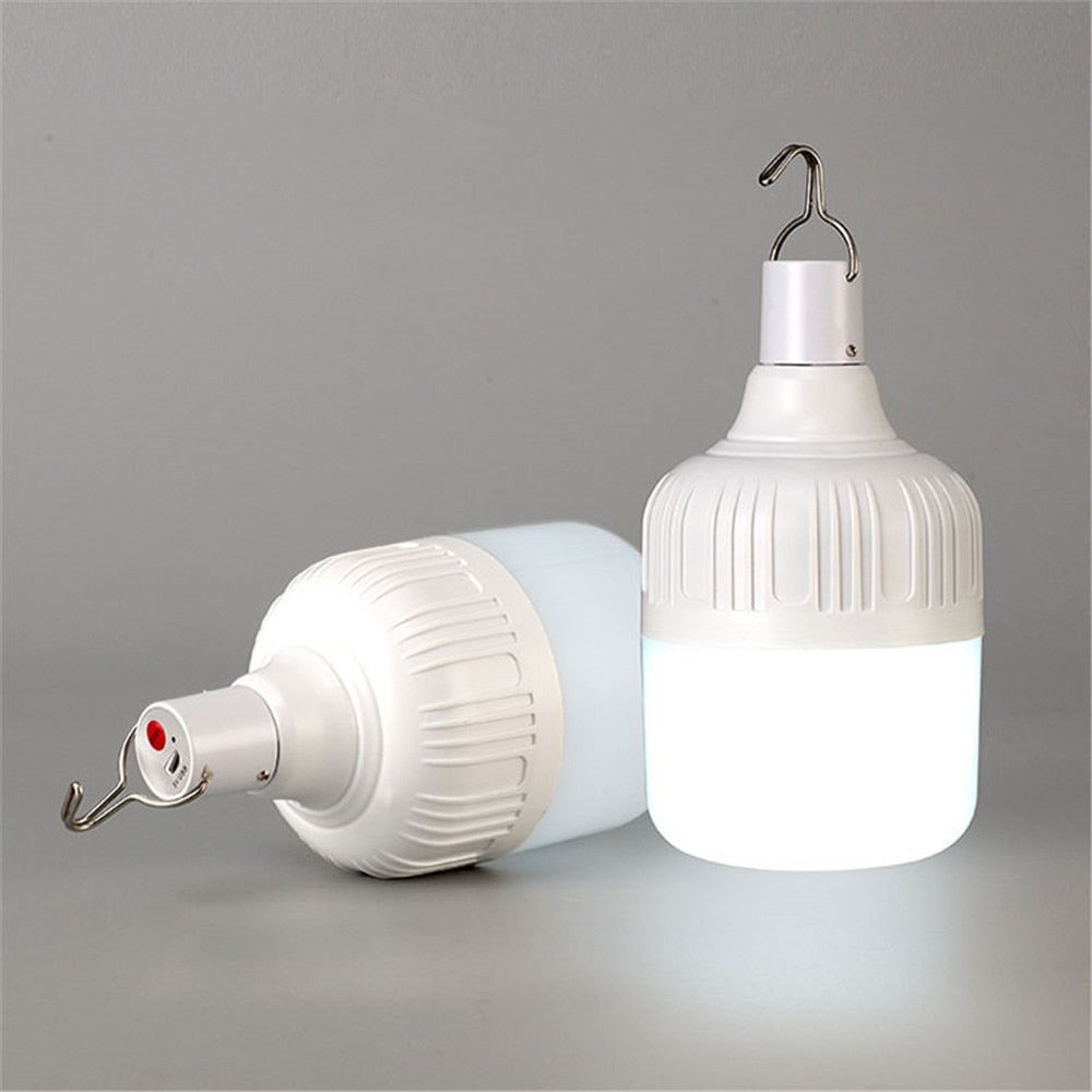 Outdoor LED Solar Emergency Bulb
