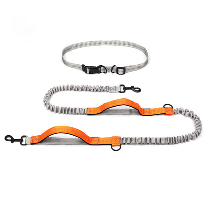 Adventure Pet Running Leash