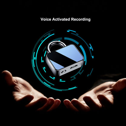 Compact HD Voice Recorder for Professionals