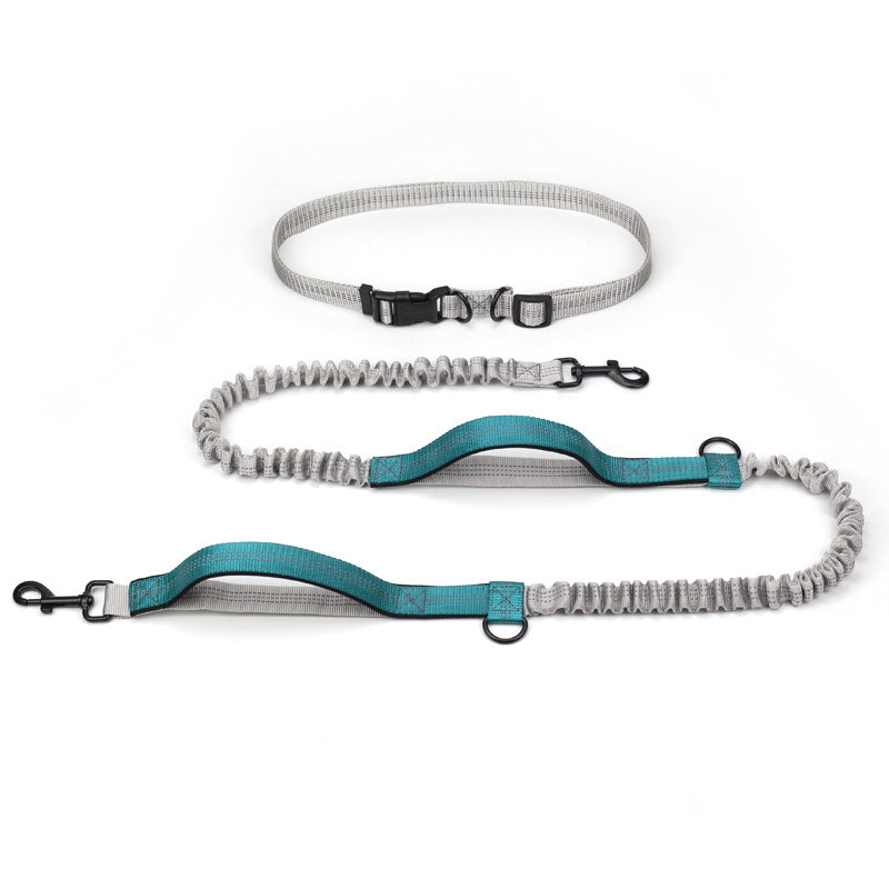 Adventure Pet Running Leash