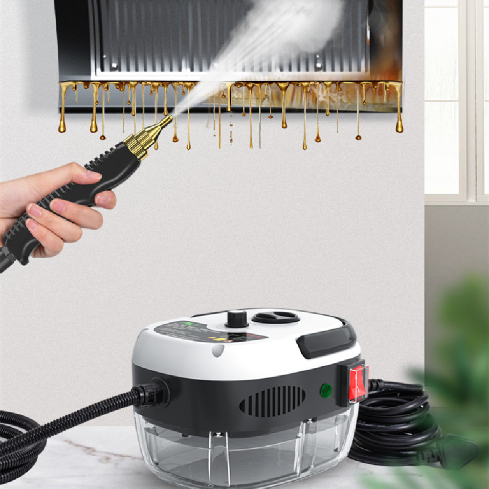 Eco-Friendly Steam Purifier