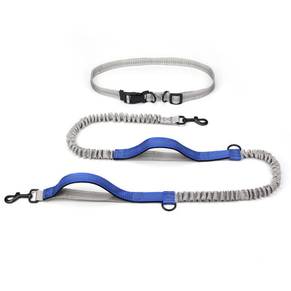 Adventure Pet Running Leash