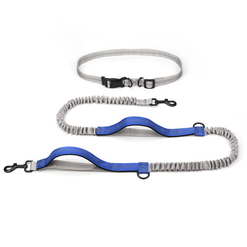 Adventure Pet Running Leash