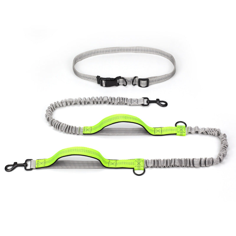 Adventure Pet Running Leash