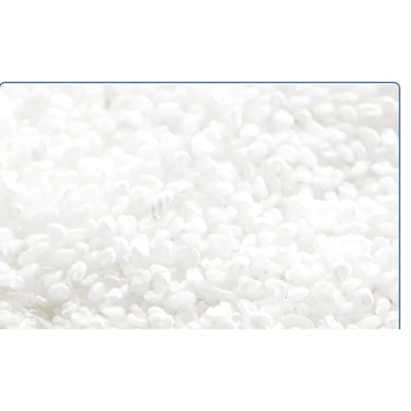 ThermoClean Steam Mop