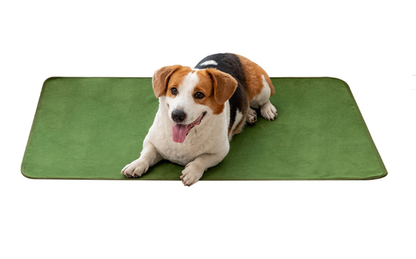 Ultra-Absorb Pet Comfort Pads