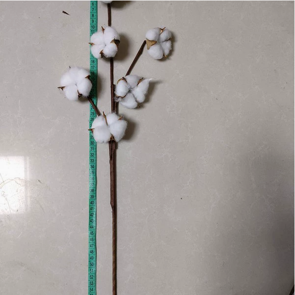 Premium Cotton Simulation Stems