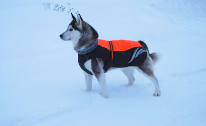 Cosy Winter Dog Down Vest