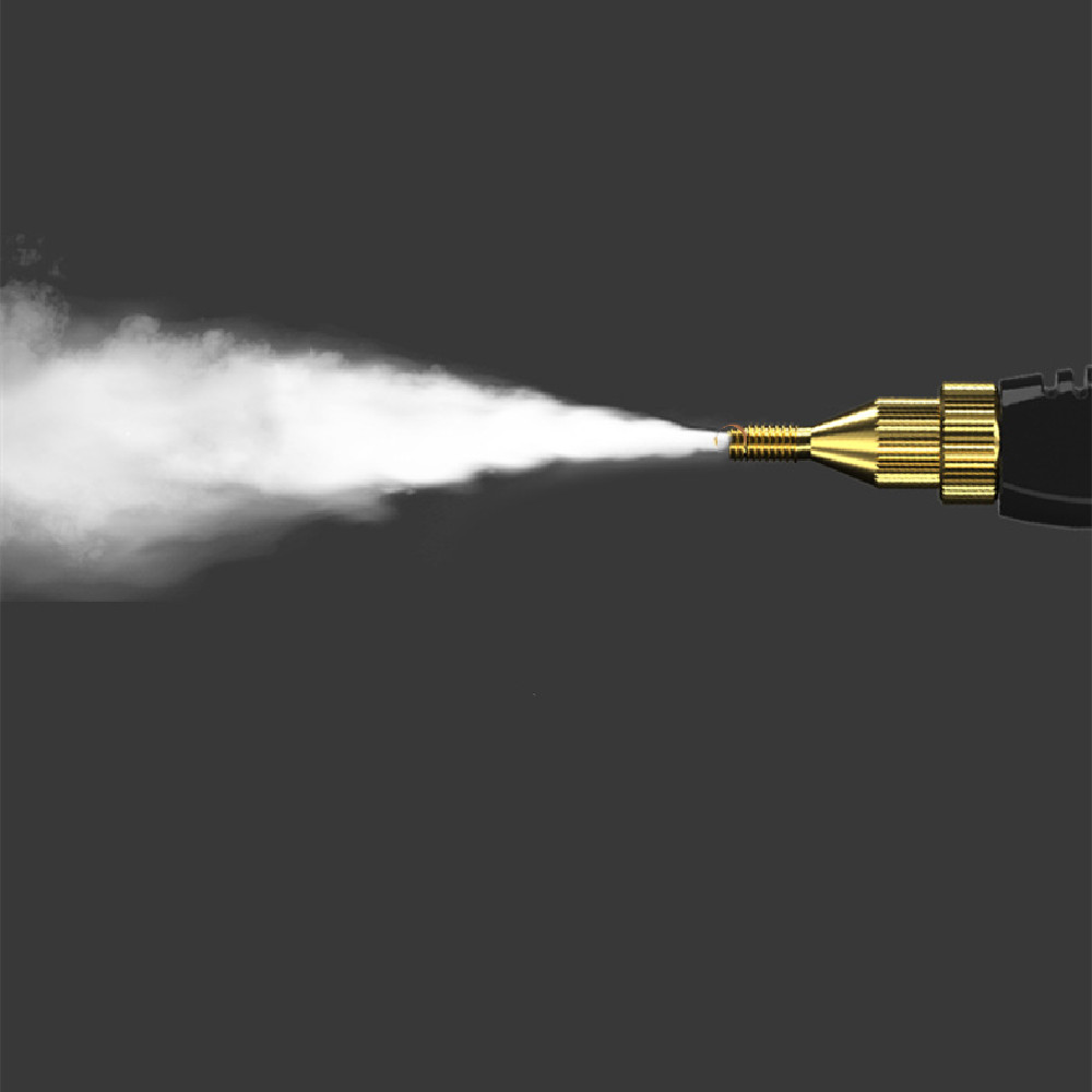 Eco-Friendly Steam Purifier