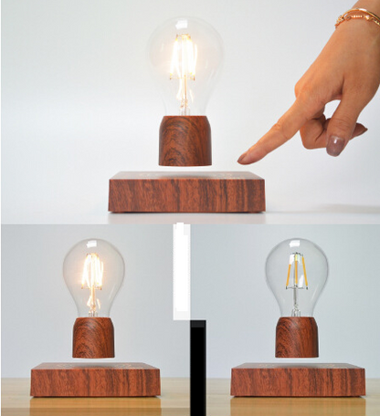 HoverLight Plant Holder