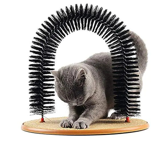 I-Feline Fun Grooming Arch