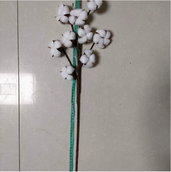 Synthetic Cotton Blossom Stems