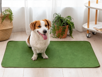 Ultra-Absorb Pet Comfort Pads