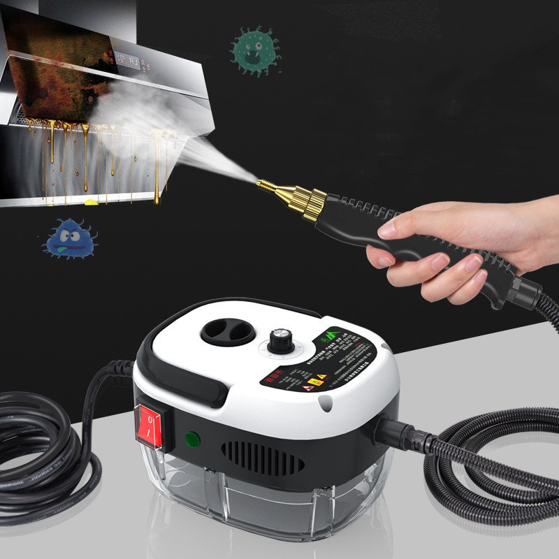 Eco-Friendly Steam Purifier