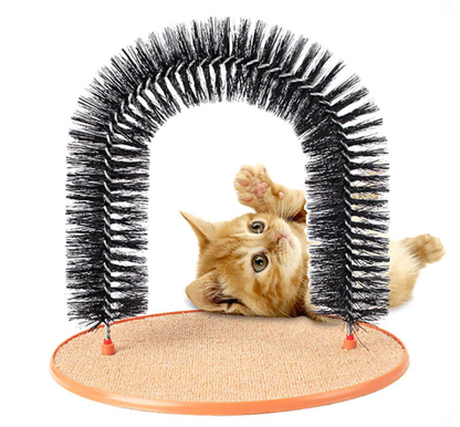 I-Feline Fun Grooming Arch