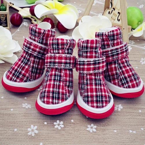 Paw-Friendly Pet Sports Footwear