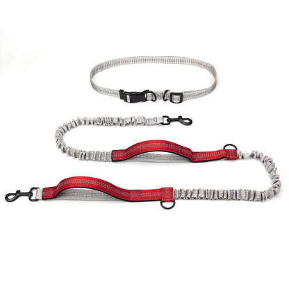 Adventure Pet Running Leash