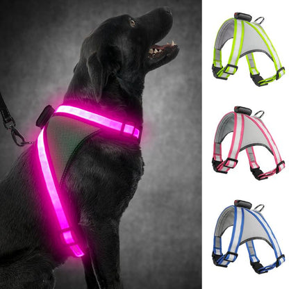 GlowPaw USB Rechargeable Dog Vest