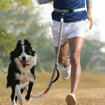 Adventure Pet Running Leash