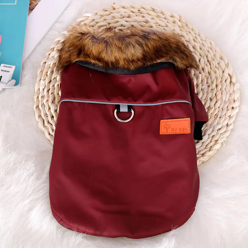 Luminous Warm Pet Coat