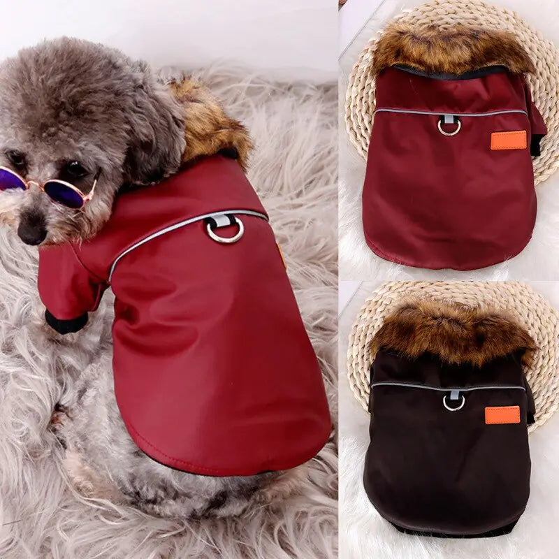 Luminous Warm Pet Coat